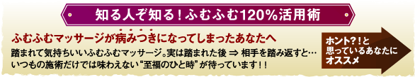 知る人ぞ知る！ふむふむ120％活用術